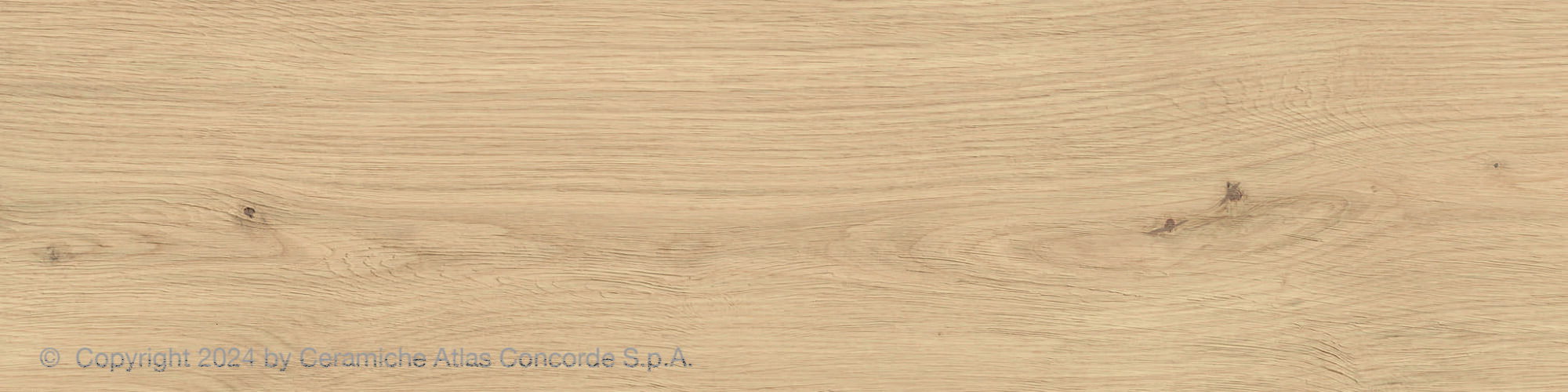 Planks (12x48) - Image 6